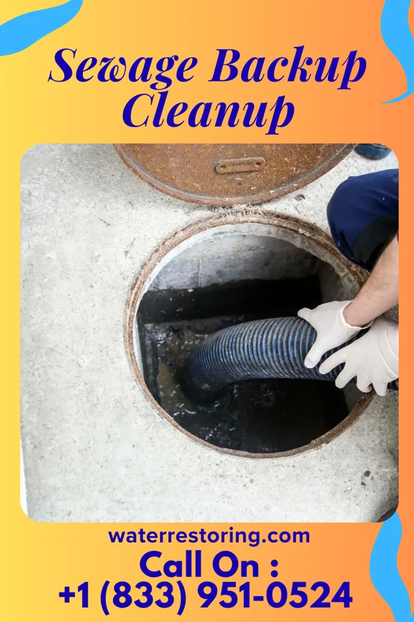 Sewage Backup Cleanup in Ocala Estates, FL