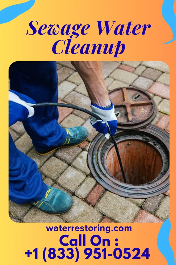 Sewage Water Cleanup in Ocala Estates, FL